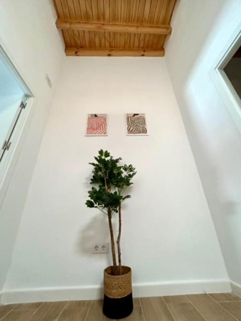 Gatu Casa Solera, Un Lugar Unico, "Preferente Para Mayores De 25 Anos Y Familias " เอลปูแอร์โต เด ซานตามาริอา ภายนอก รูปภาพ